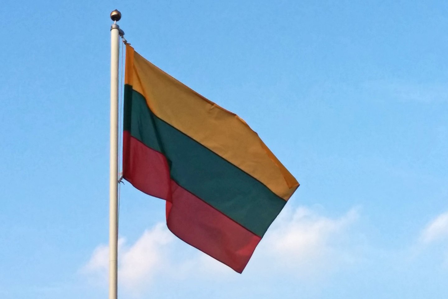 Lietuvos vėliava.