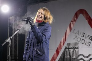 B. Davidonytė kritikuoja V. Laučiaus paskyrimą į VIEK: mažina pasitikėjimą visa etikos komisija