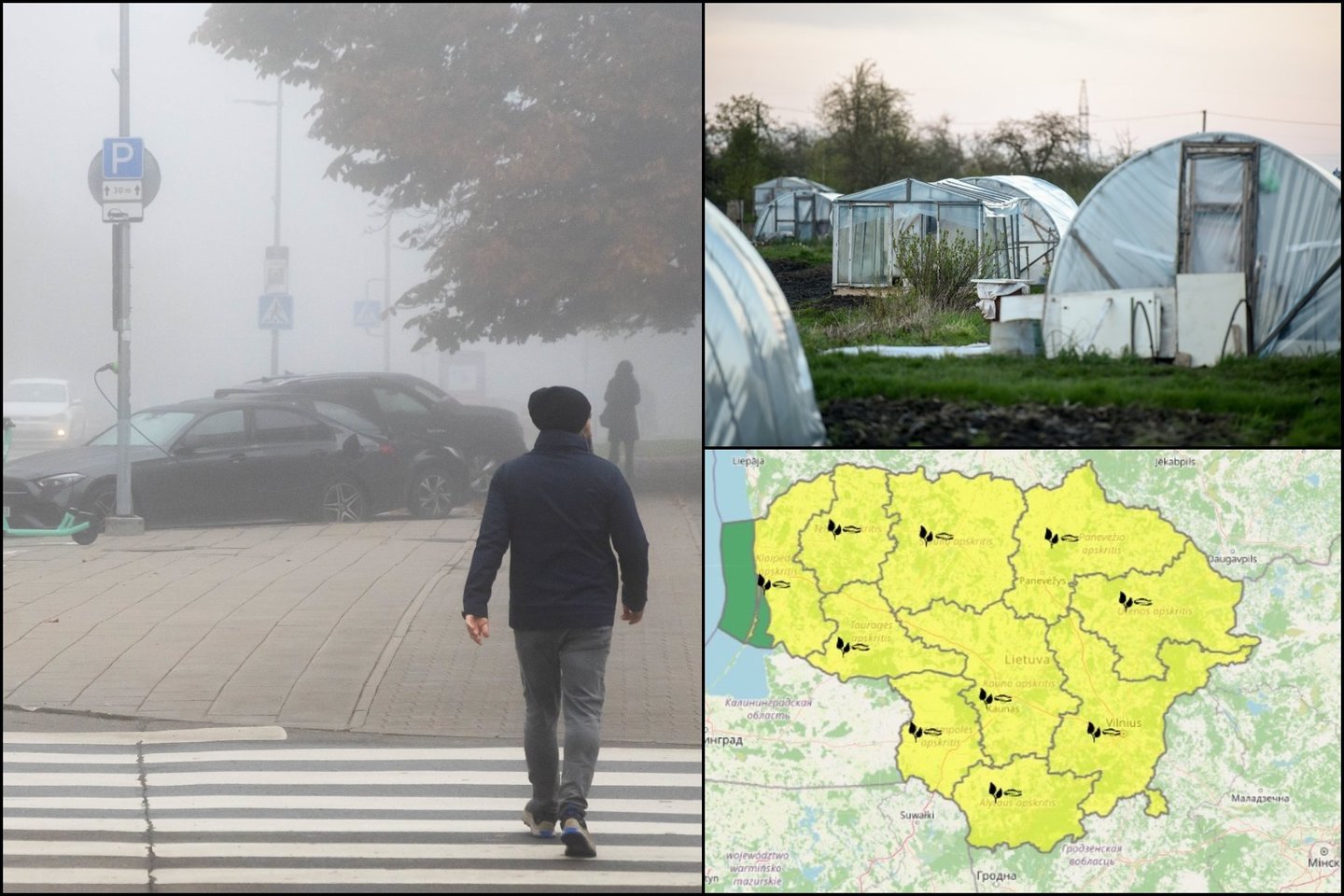 Ateinančią naktį ir trečiadienio rytą – rūkas ir šalnos, skelbia meteo. Geltona spalva pavojingų reiškinių žemėlapis nuspalvino visą Lietuvą.