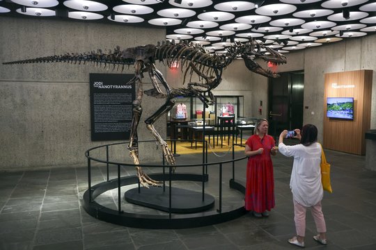 Dinozauro skeletas aukcione parduotas už 47 000 000 dolerių