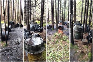Ieškodami migrantų Švenčionių r. miške pasieniečiai aptiko samanės fabrikėlį