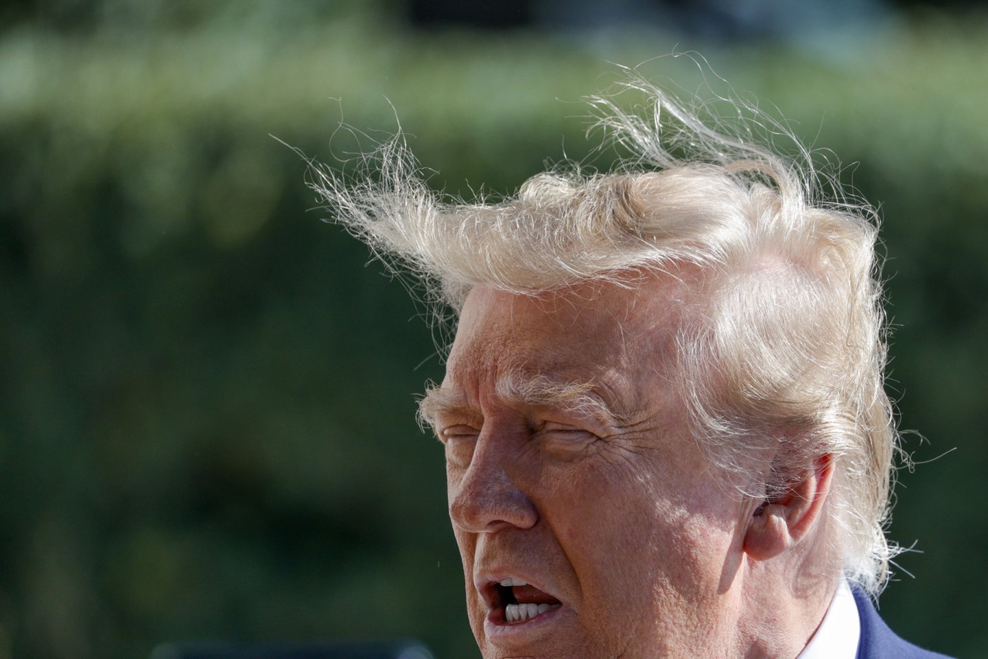 D. Trumpas.