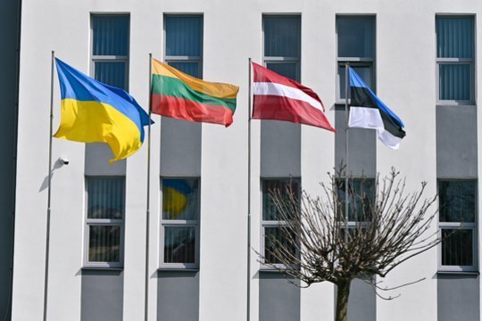 Pentagono pastabos Baltijos šalims: ragina reikštis santūriau