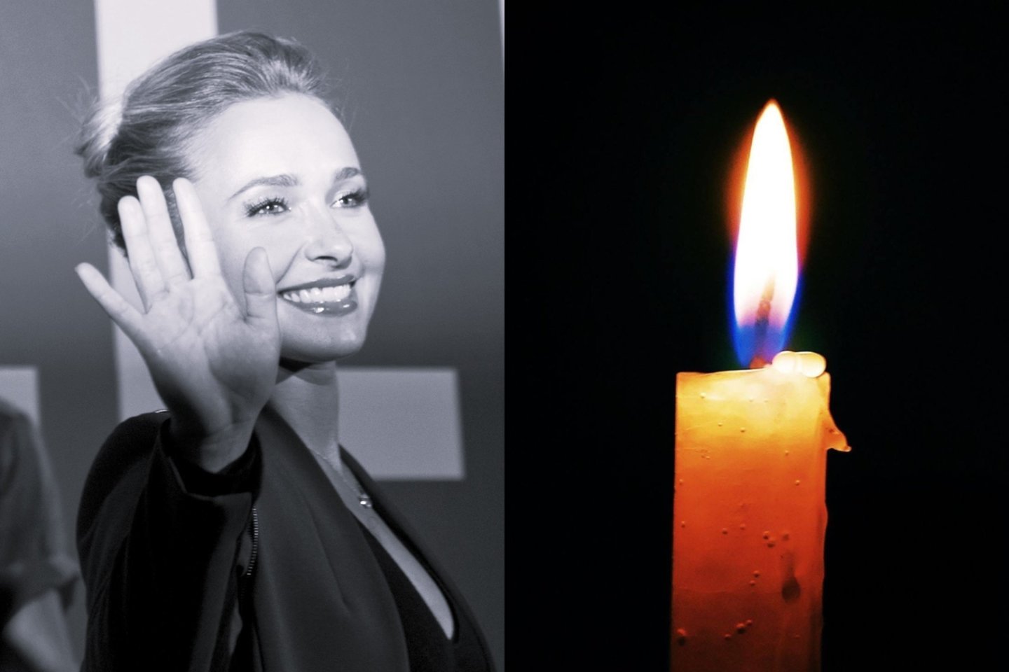 Hayden Panettiere.