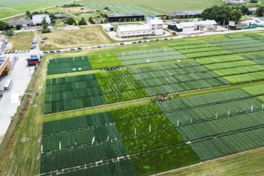 „Agroforumas“ sieks parodyti kitą žemės ūkio pusę: „Norime paneigti įsisenėjusį mitą“