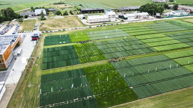 „Agroforumas“ sieks parodyti kitą žemės ūkio pusę: „Norime paneigti įsisenėjusį mitą“