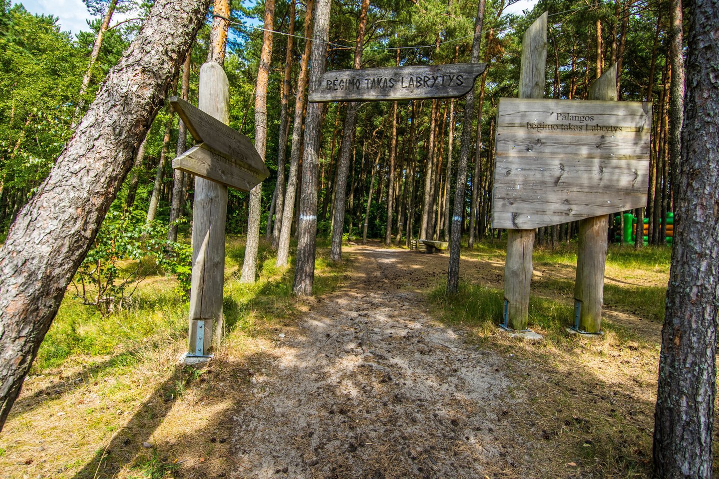 Įprasta, kad Palangoje žmonės daug vaikšto, daug maudosi, greičiau nurimsta, atsipalaiduoja.