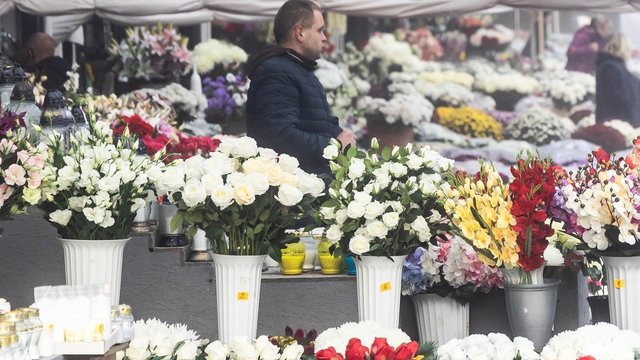 Pastebi pasikeitusius žmonių įpročius puošiant kapus: viena gėlių rūšis vis dar išlieka karaliene