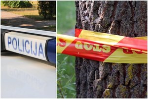 Miškelyje greta judrios gatvės Vilniuje – kraupus radinys