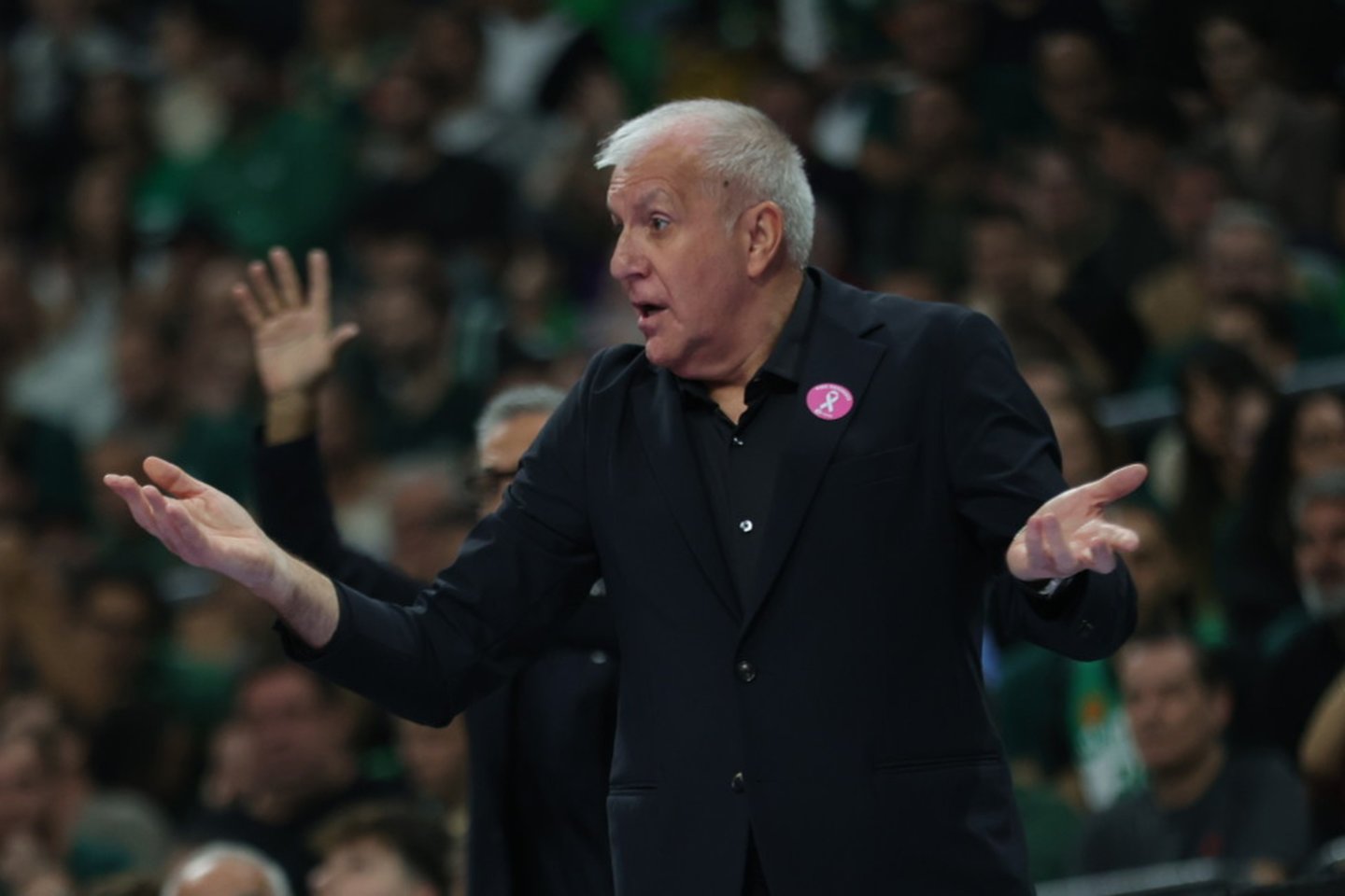 Željko Obradovičius